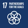 sustainable development goal 17