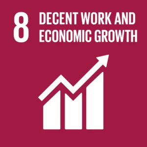 sustainable development goal 8