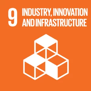 sustainable development goal 9